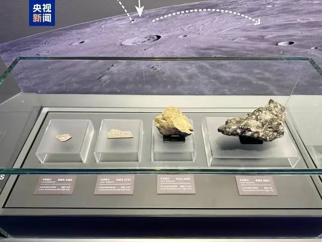 车次！下月5日起珠海站部分列车运行有调整→尊龙凯时网新闻早茶｜一次扫码可乘坐任意一(图3)