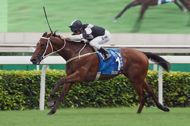 驹戴眼罩夺魁家族曾养香港马王尊龙凯时新版APP王经纬赛
